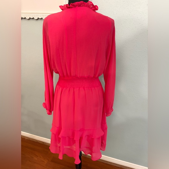 Pink Ruffle Dress - Picture 6 of 13